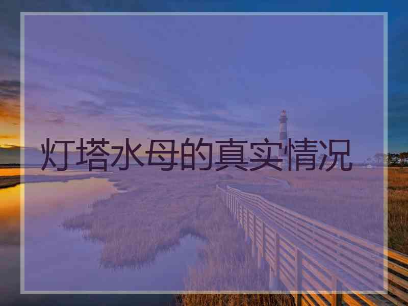 灯塔水母的真实情况