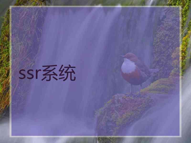 ssr系统