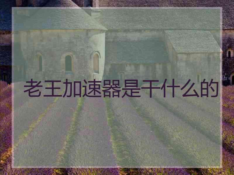 老王加速器是干什么的
