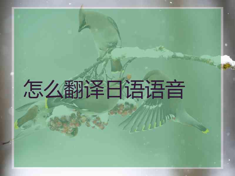 怎么翻译日语语音