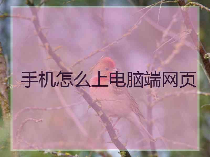 手机怎么上电脑端网页