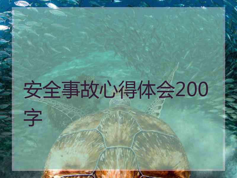安全事故心得体会200字