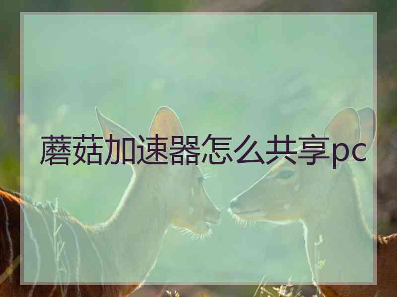 蘑菇加速器怎么共享pc