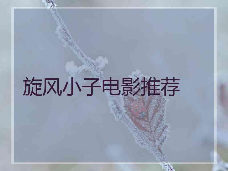 旋风小子电影推荐