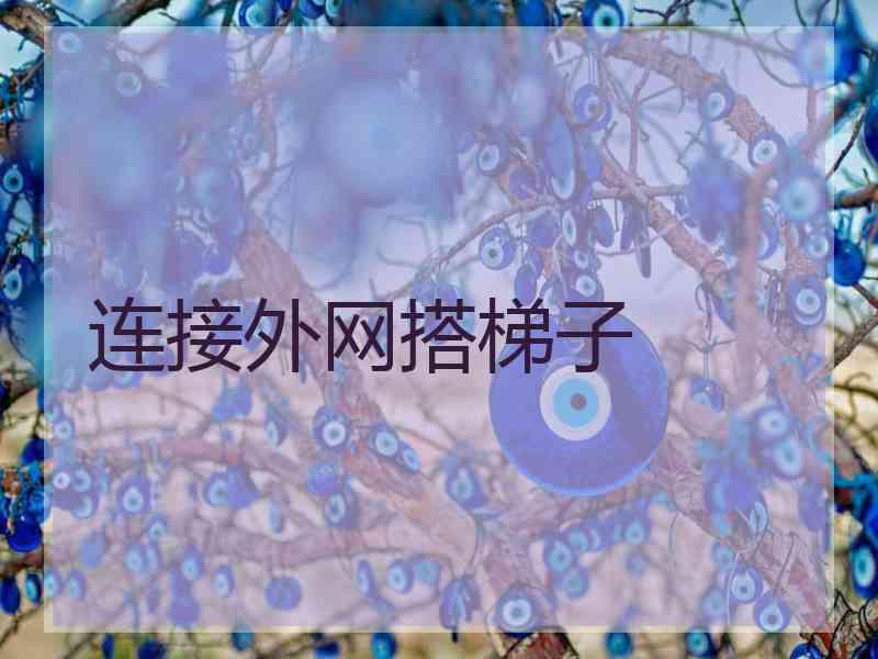 连接外网搭梯子
