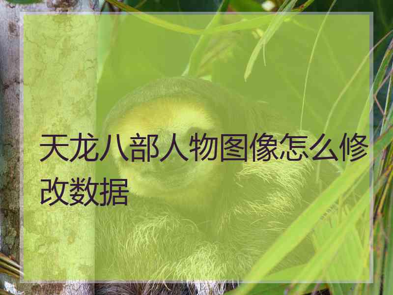 天龙八部人物图像怎么修改数据