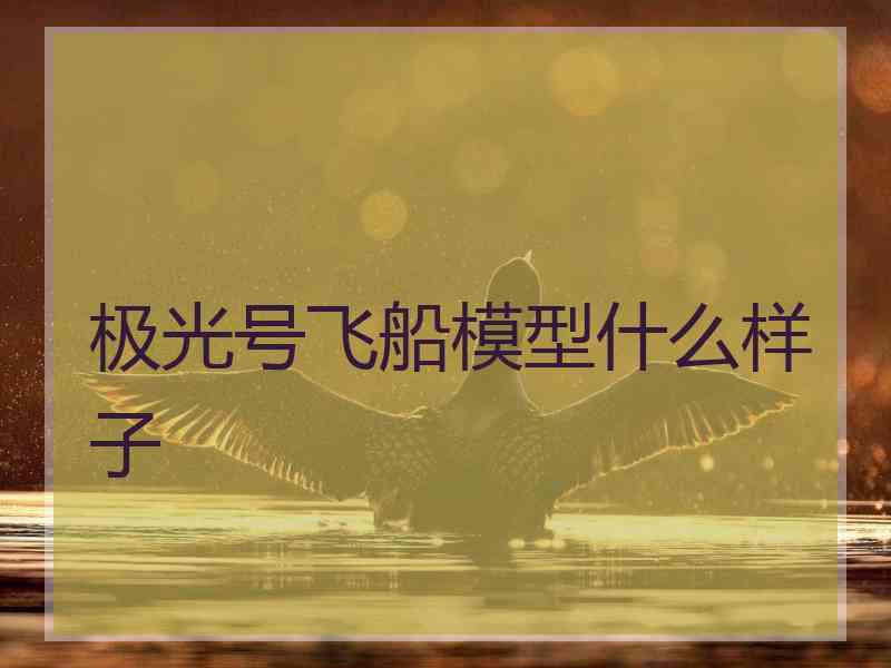 极光号飞船模型什么样子