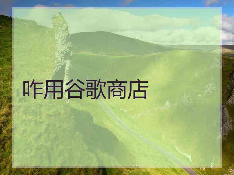 咋用谷歌商店