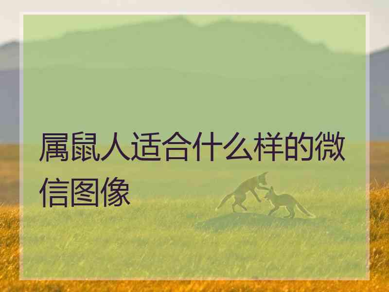 属鼠人适合什么样的微信图像