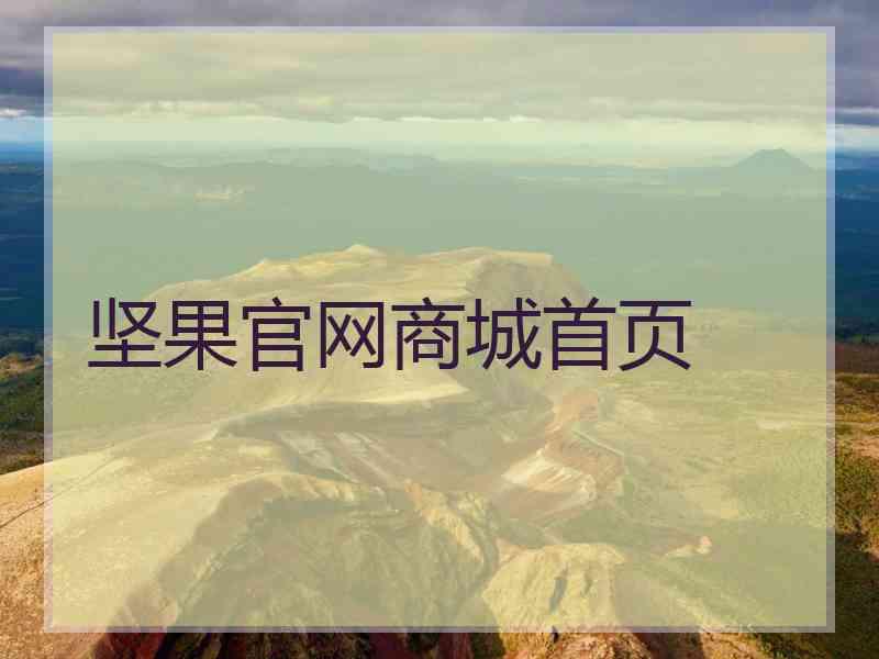 坚果官网商城首页