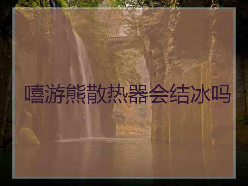 嘻游熊散热器会结冰吗