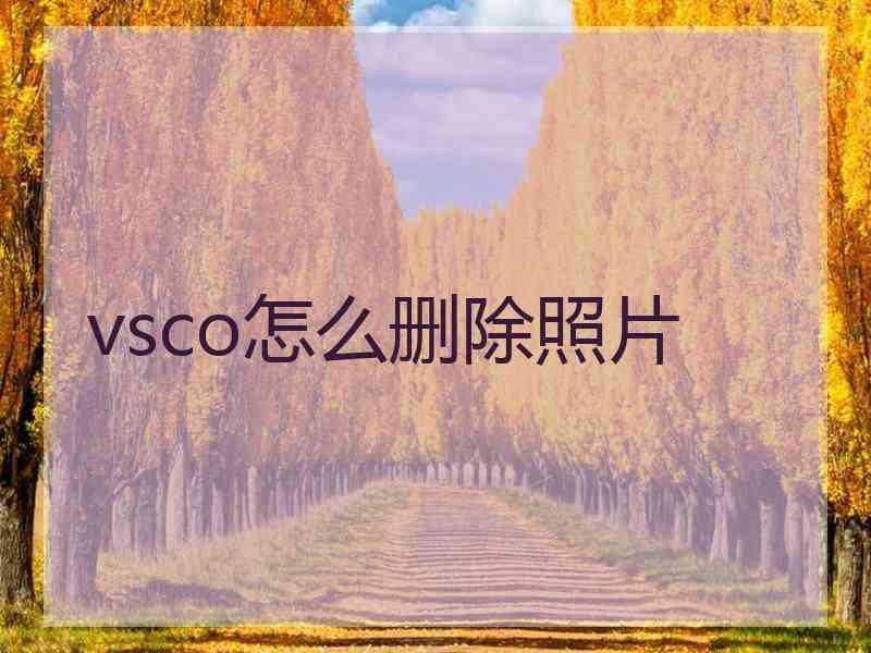 vsco怎么删除照片