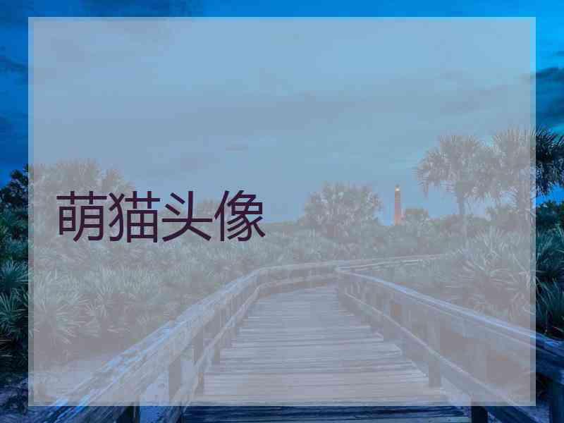 萌猫头像