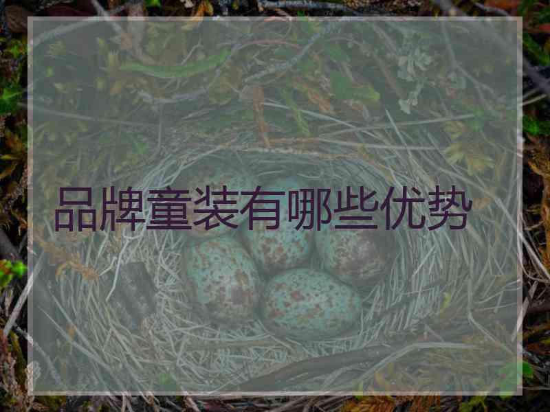 品牌童装有哪些优势