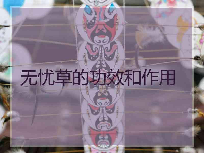 无忧草的功效和作用
