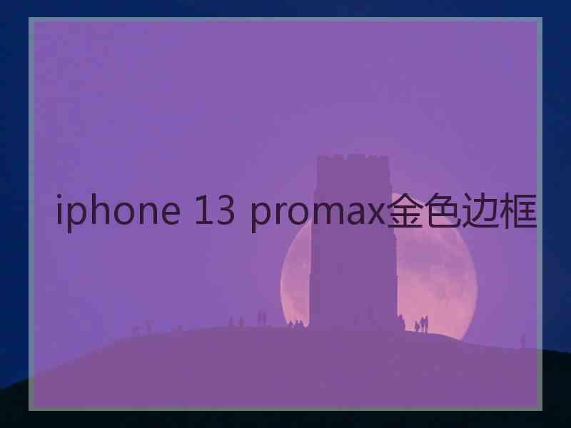 iphone 13 promax金色边框