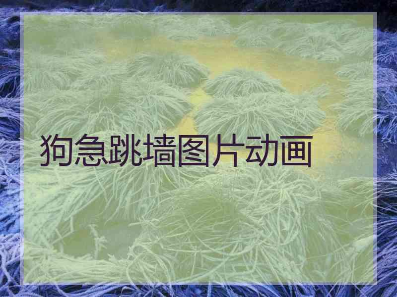 狗急跳墙图片动画