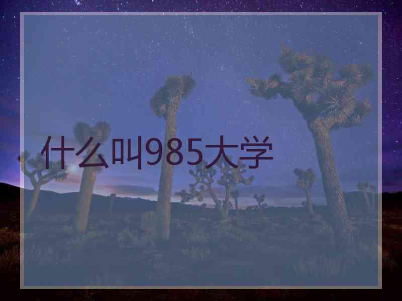 什么叫985大学