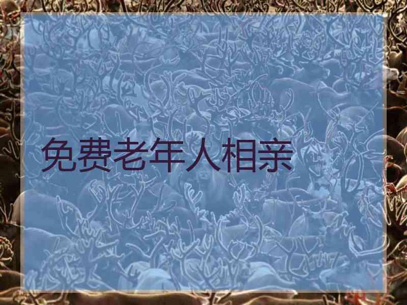 免费老年人相亲