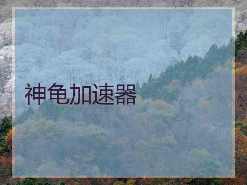 神龟加速器
