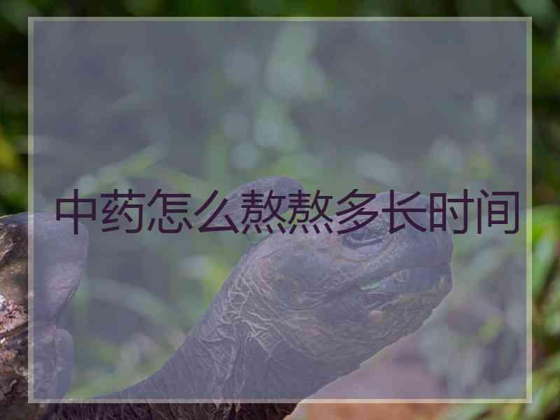 中药怎么熬熬多长时间