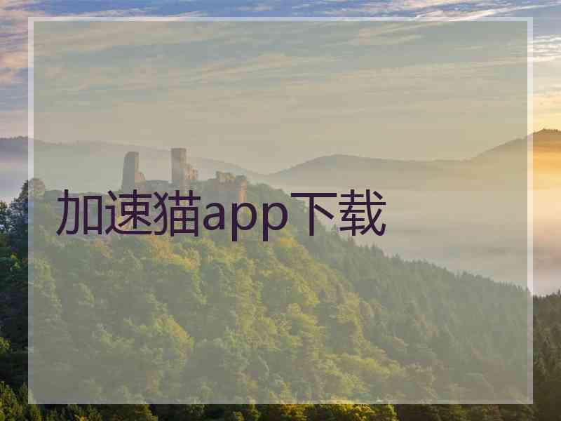 加速猫app下载