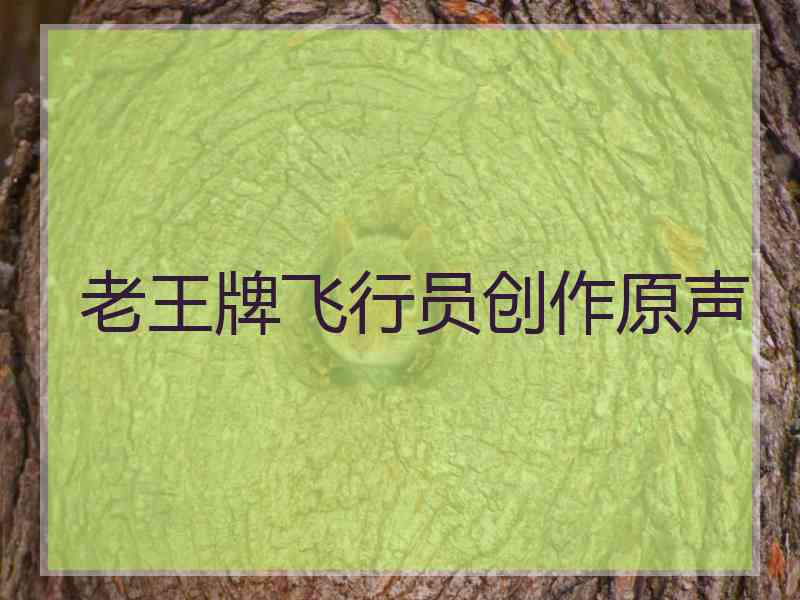 老王牌飞行员创作原声