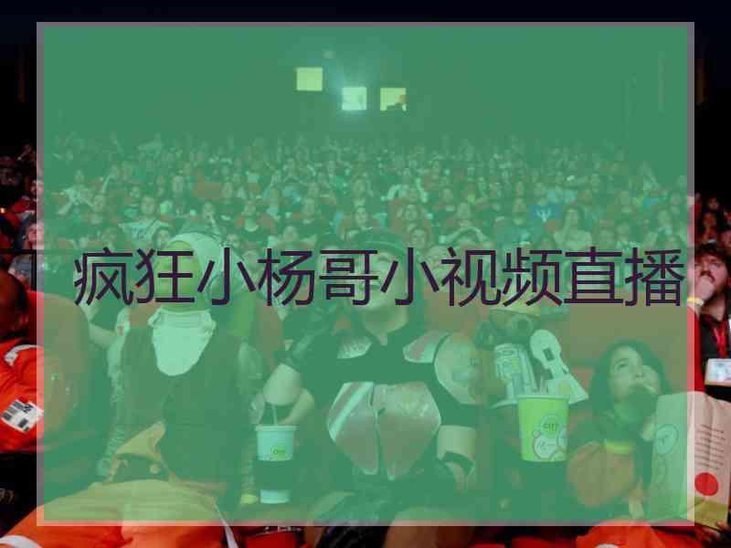 疯狂小杨哥小视频直播