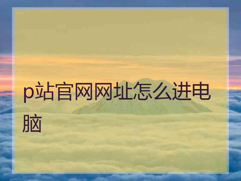 p站官网网址怎么进电脑