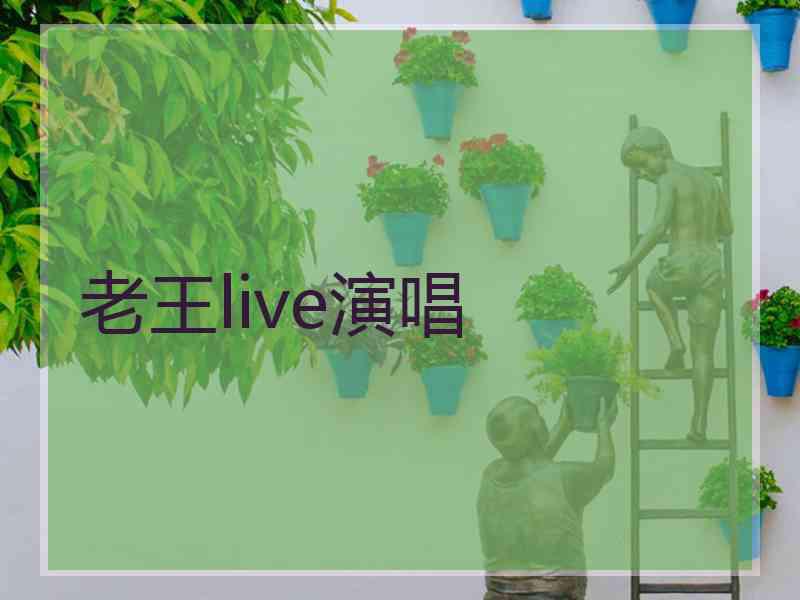 老王live演唱