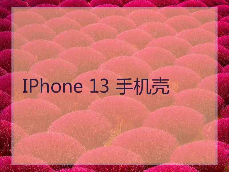 IPhone 13 手机壳