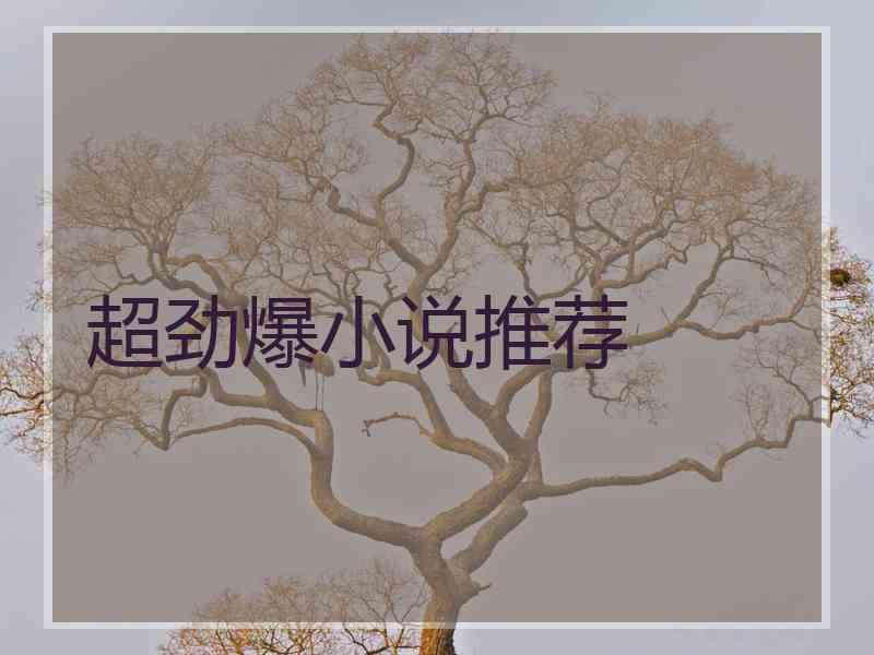 超劲爆小说推荐