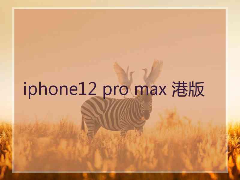 iphone12 pro max 港版