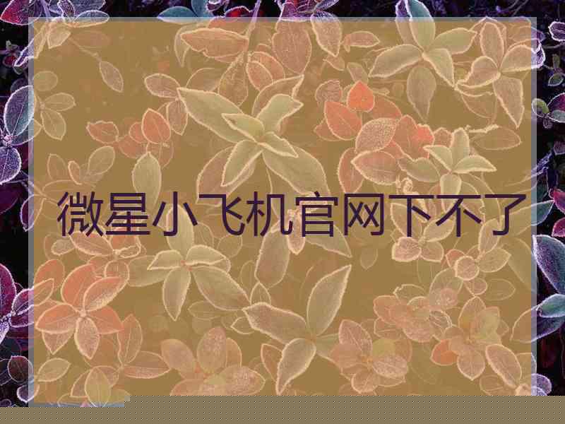 微星小飞机官网下不了