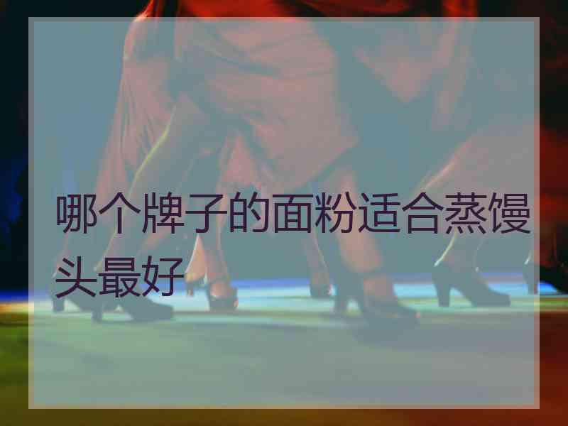 哪个牌子的面粉适合蒸馒头最好