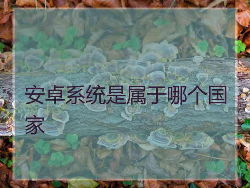 安卓系统是属于哪个国家