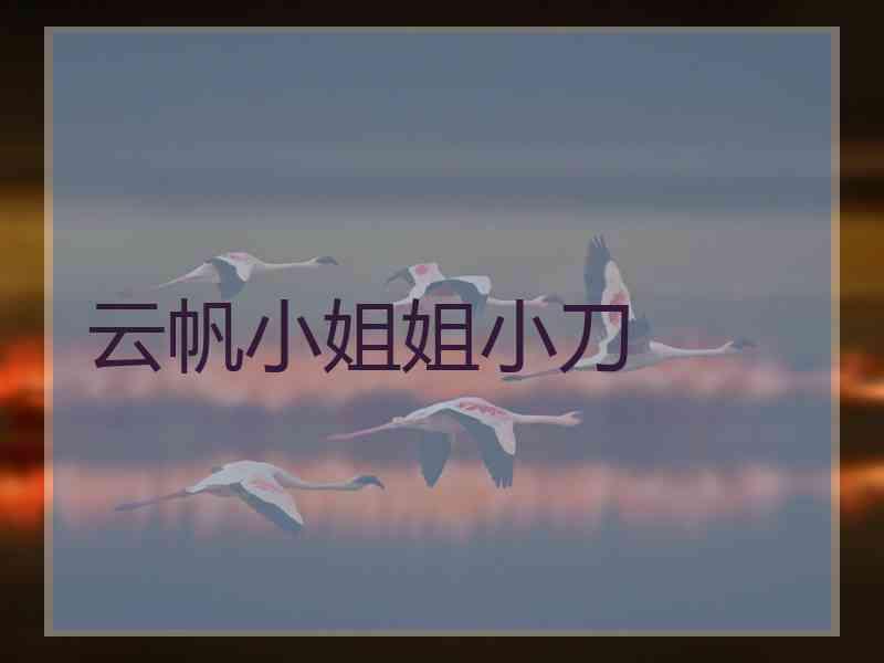 云帆小姐姐小刀