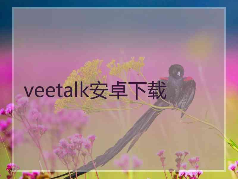 veetalk安卓下载