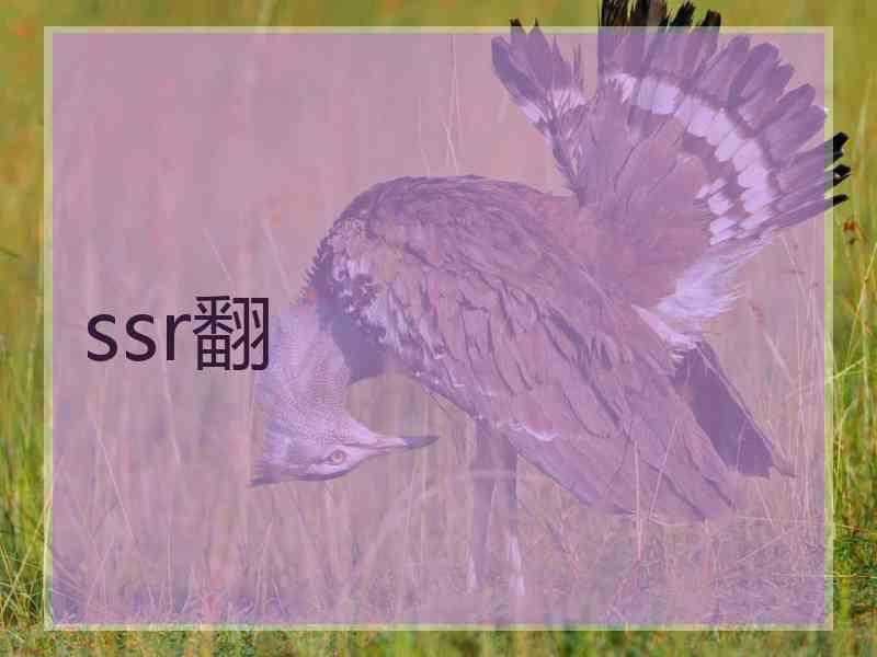 ssr翻