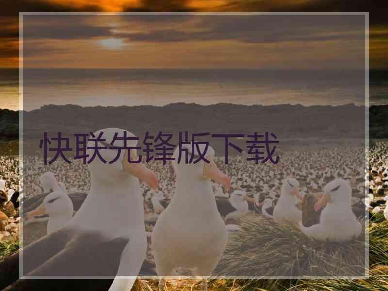 快联先锋版下载