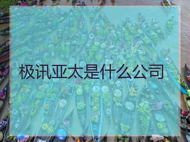 极讯亚太是什么公司
