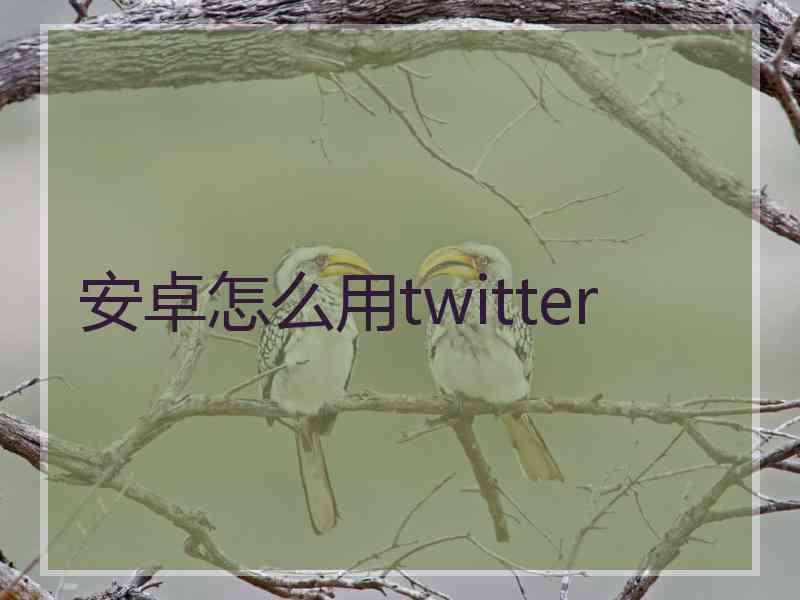 安卓怎么用twitter