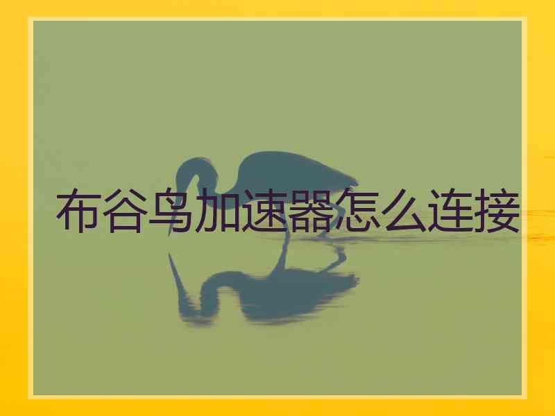 布谷鸟加速器怎么连接