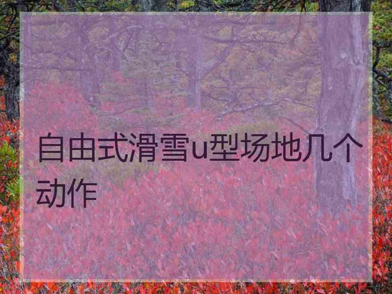 自由式滑雪u型场地几个动作