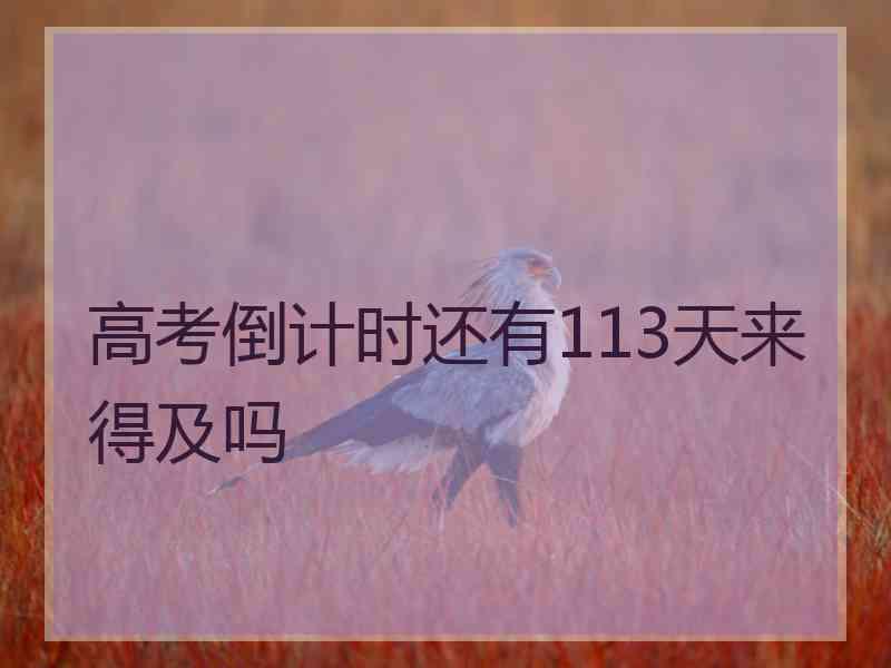 高考倒计时还有113天来得及吗