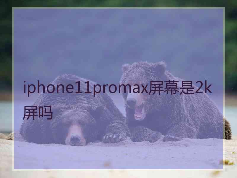 iphone11promax屏幕是2k屏吗
