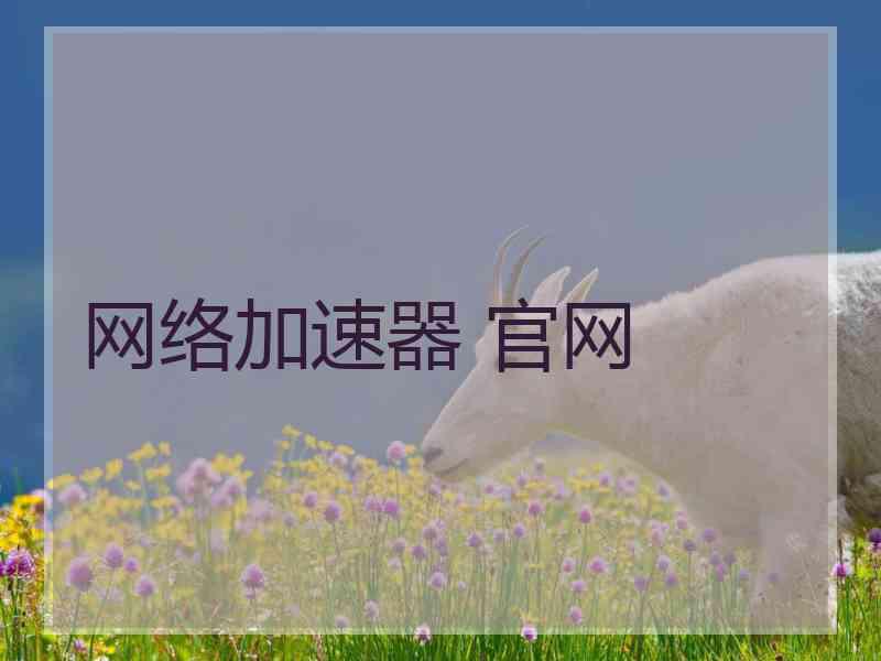 网络加速器 官网