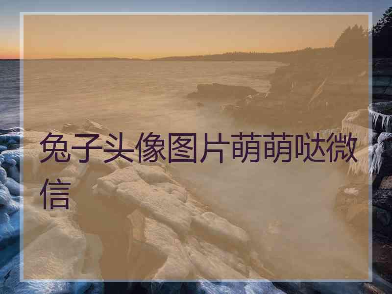 兔子头像图片萌萌哒微信