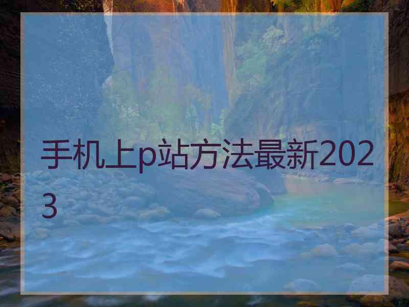 手机上p站方法最新2023