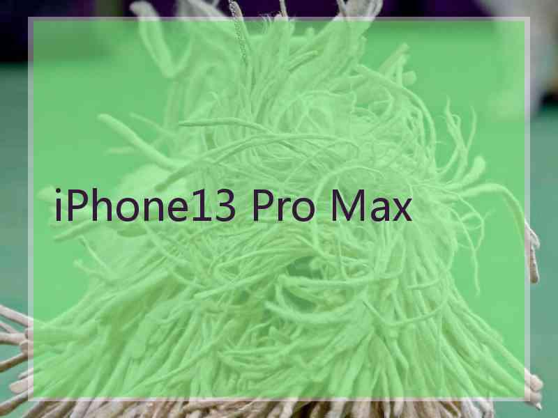 iPhone13 Pro Max